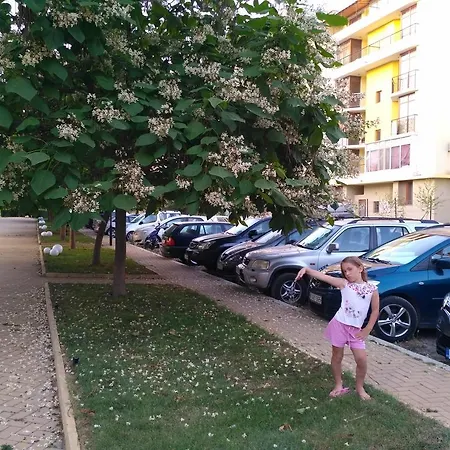 In Grand Kamelia 2 * Sluneční pobřeží